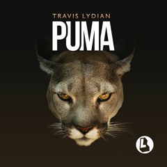 Puma (Kyle Morgan Remix) - Travis Lydian