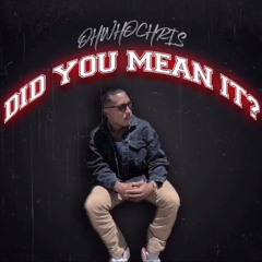 DID YOU MEAN IT? OHWHOCHRIS