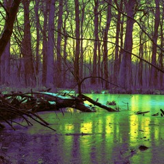 tripping in the mud