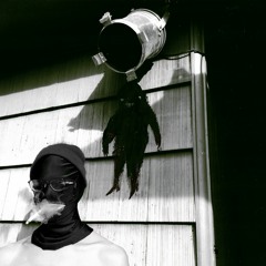 Shadow Fly