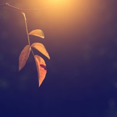 All Is Well by Lisa G. Littlebird - Low