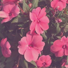 Nature Walk (prod. Caleb Byers)