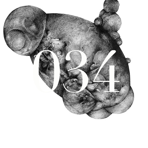 AW/OA 034: Wandering Through the Swamp of Sadness [mixed by Acid Daddy]