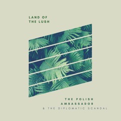 The Polish Ambassador - Forest Funk