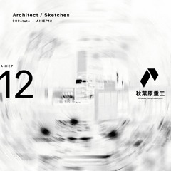 AHIEP12 -  Architect / Sketches