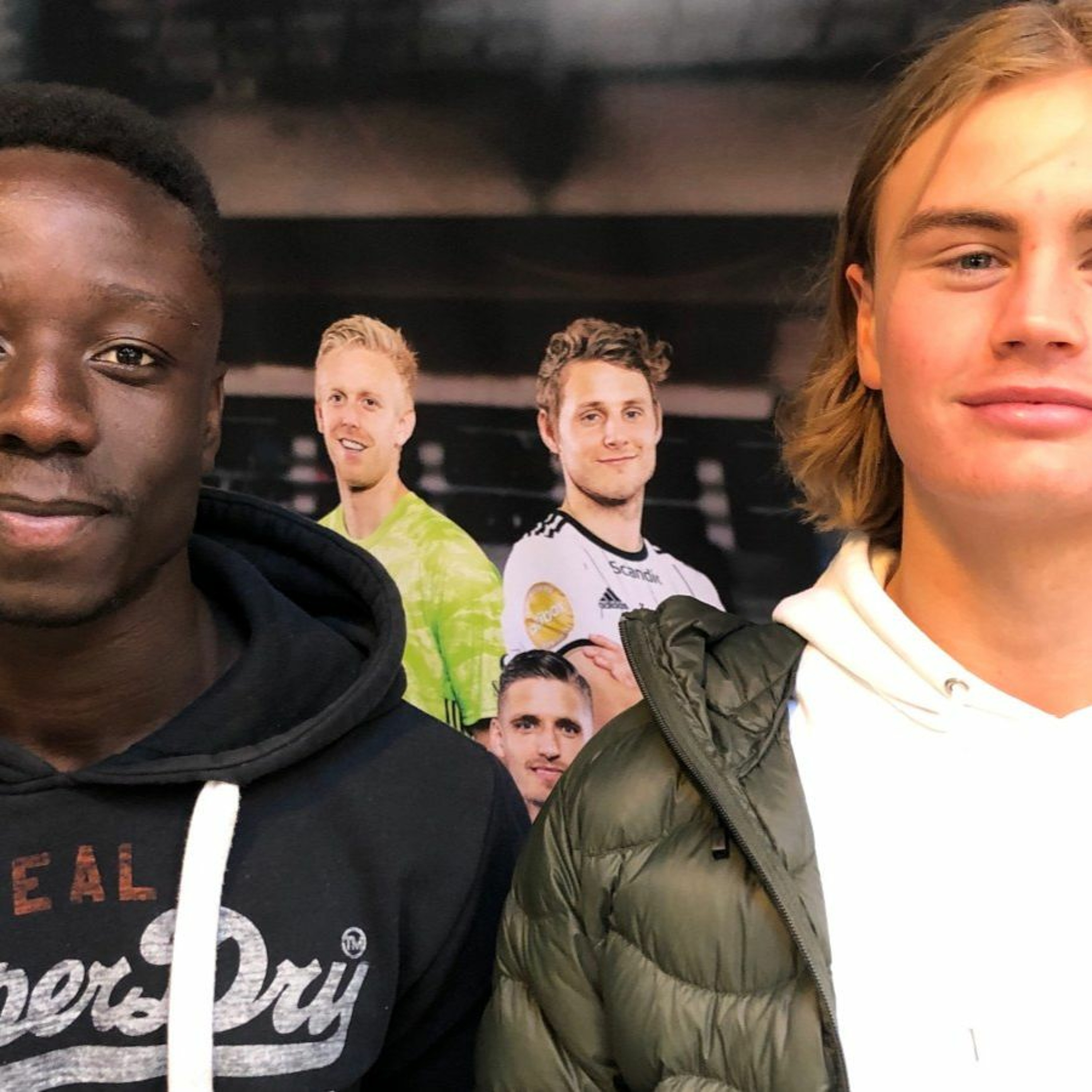 Rosenborg BallPod