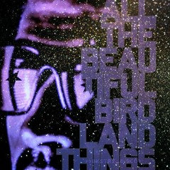 Birdland - BackstoryDisco featuring Splat [released on FVYDID Music Las Vegas]