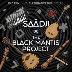 The Black Mantis Project - Stellar Waves (Saadji Remix)
