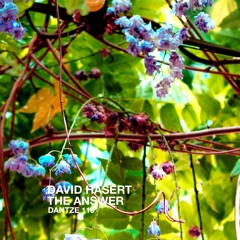 David Hasert - My Love - DTZ110