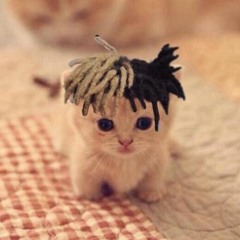 XXXTENTACION - #PROUDCATOWNER (remix)