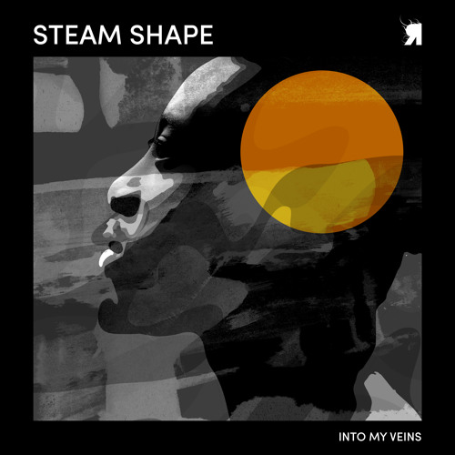 Steam Shape - Into My Veins