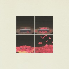Duñe x Crayon - Hundred Fifty Roses