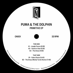 Puma & The Dolphin - Camel In Dub (CN001)