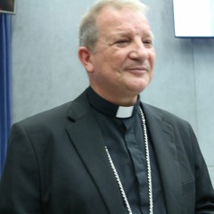 Dom Mário fala sobre síntese do texto dos grupos menores do Sínodo da Amazônia