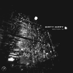 Dirty Hippy - Section 12 (out now!)
