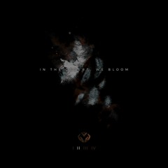 In The Desert, We Bloom (III)