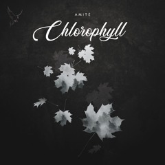 Chlorophyll