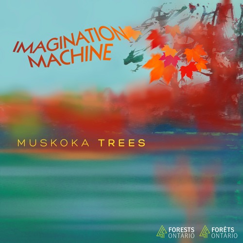 Muskoka Trees - Imagination Machine