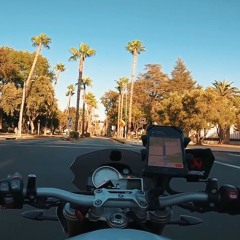 Jacson Zeran - DISSTRACK