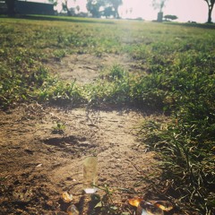 trampoline - shaed (cover)