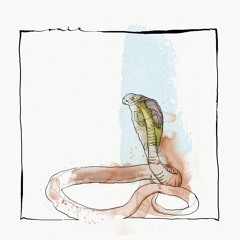 David Mayer - Skanda EP (Ouïe)