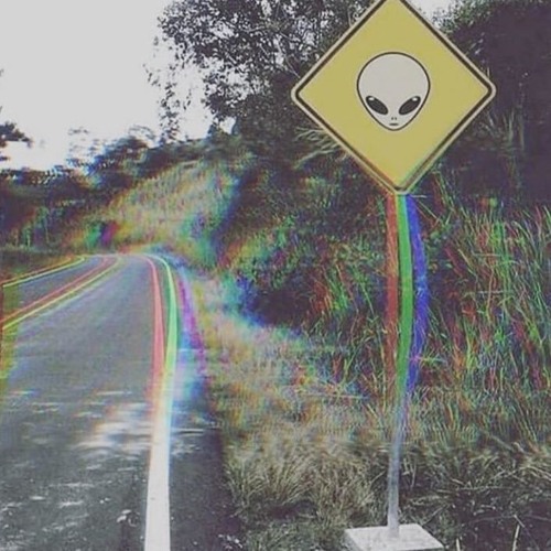 Top GOA, PSY, DARK, FOREST, HITECH
