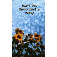 Don't You Worry 'Bout a Thing- Tori Kelly version (acoustic cover)