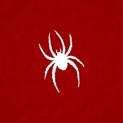 Spider (Prod.HMB)