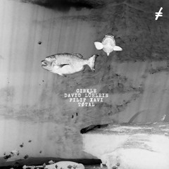 Filip Xavi - Tripwire [SCHIMMER001 | A1 | Premiere]