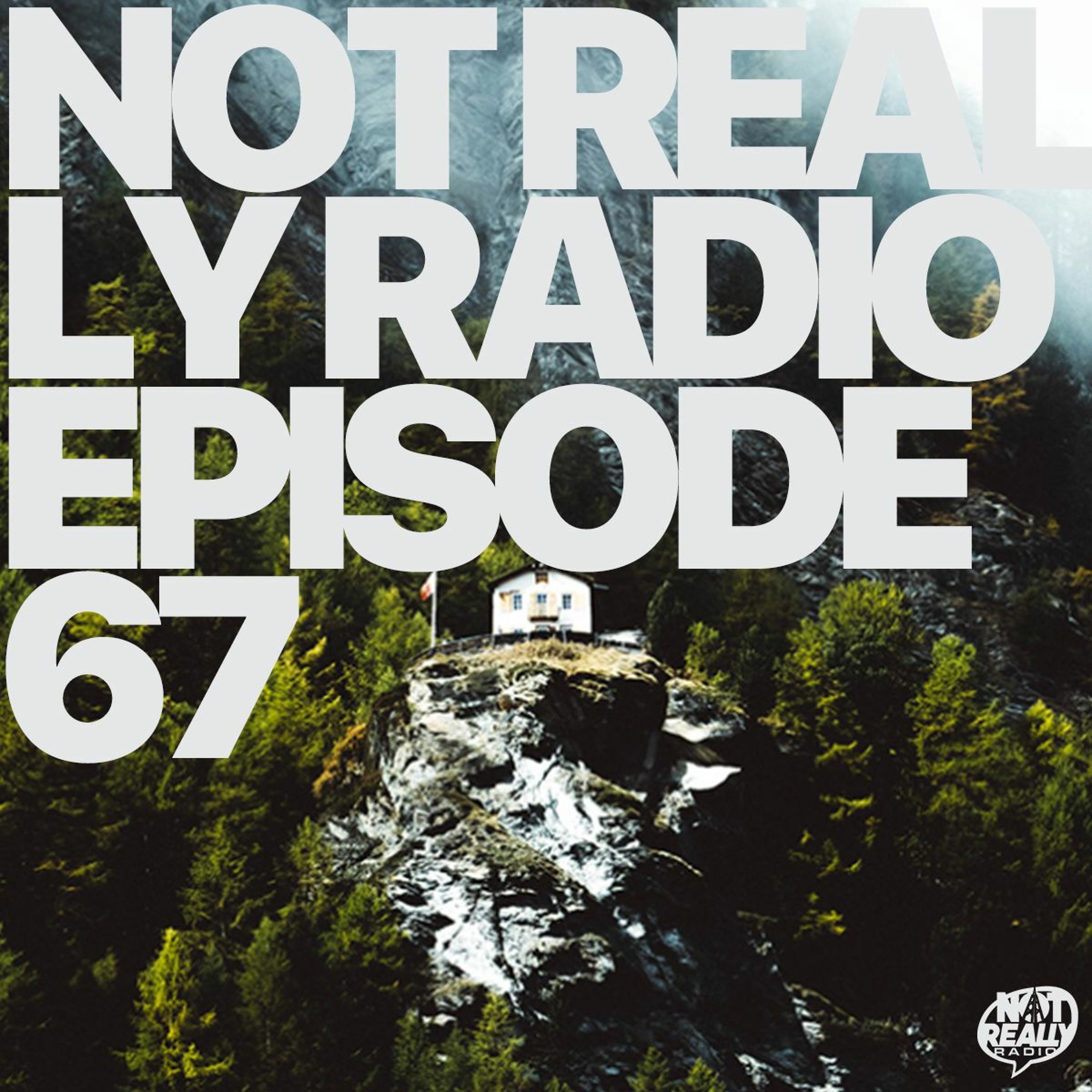 Not Really Radio Episode 67 episode artwork
