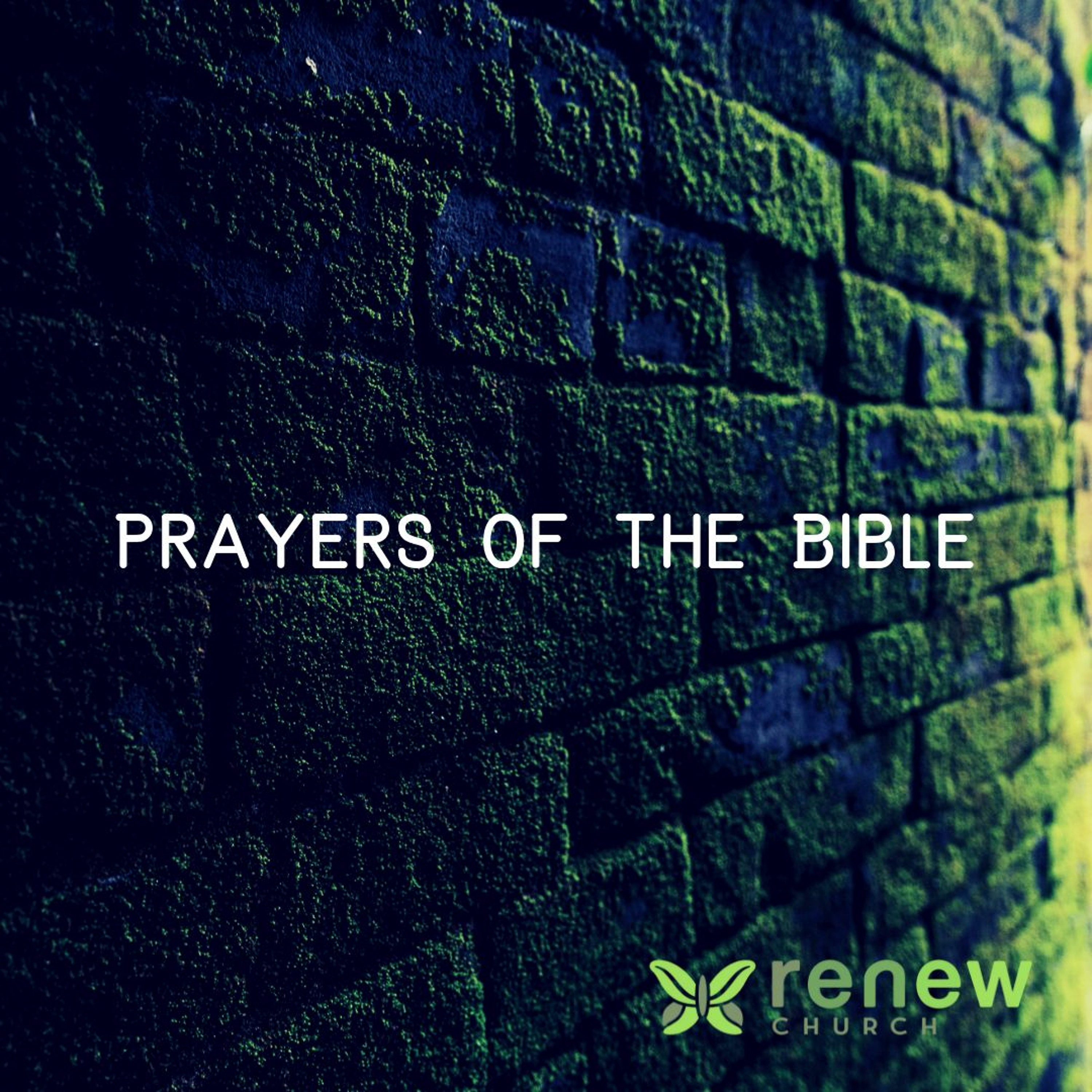 Renew Covenant Church Sermons