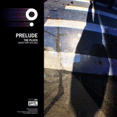 Prelude - The Pluck (David Tort HoTL Edit) [HoTL Records]