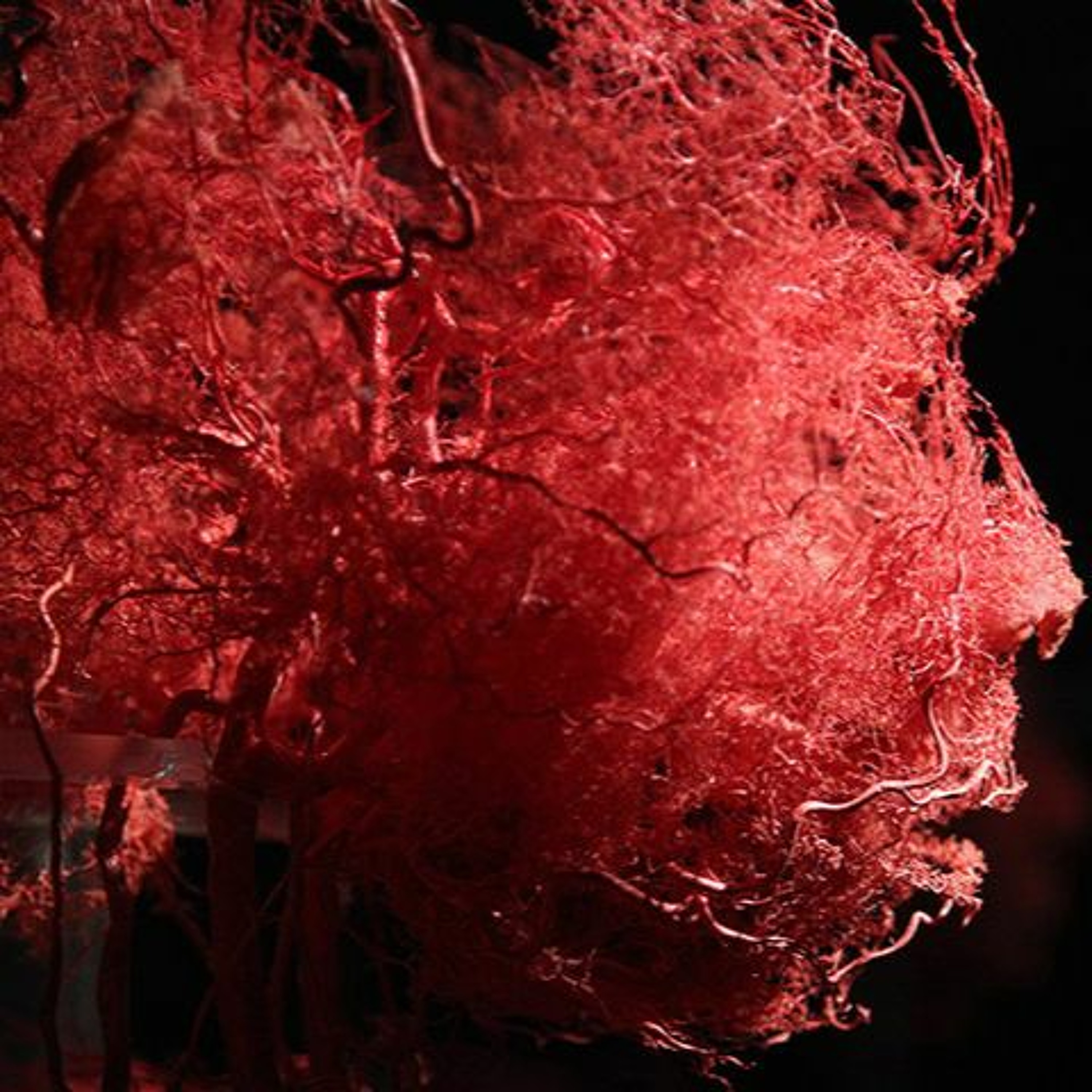 Rolling Brain Stimulation Pt.2 By Brain Modulation [Psy Set 10.2019]