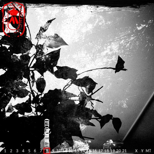 #8 - "GREY MATTER"