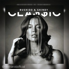 Shindy&Bushido - Freier Fall nach oben (ft. Yasha) Nikk Harold remix