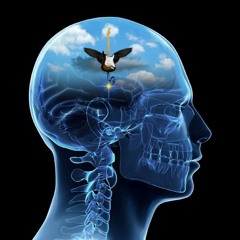 Blue Mind