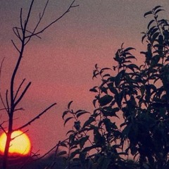 Surah Mulk With Urdu Translation Qari Abdul Basit.