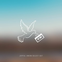 Joyful Union Select 027