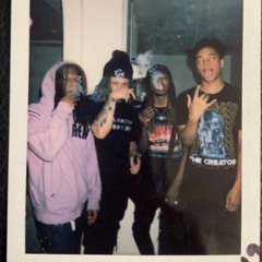 Trap XVIII