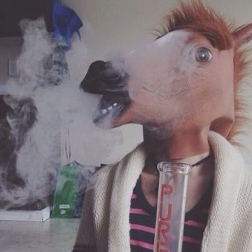 Get Off Your High Horse (just get high)