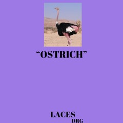 OSTRICH