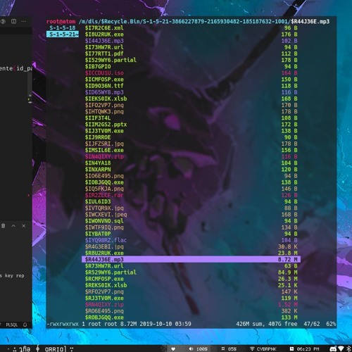 $R44J36E  file rescued from trash