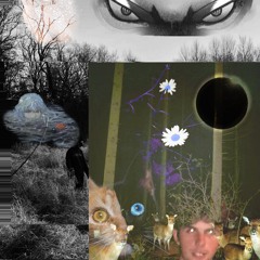 Model ft. Lilbearshawty (p. Romasta Beats)