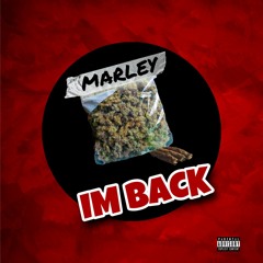 Marley- I'M BACK