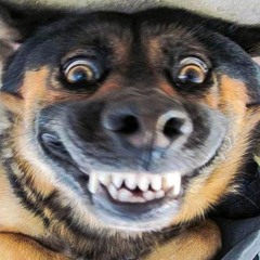 Stuck In First Gear (Prod. Pacific)