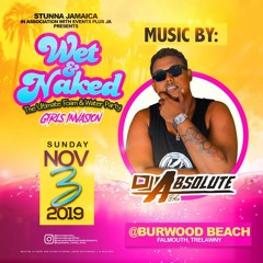 WET N NAKED PARTY PROMO MIX [DJ ABSOLUTE] NOV 3