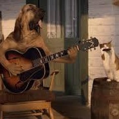 Otis Harley Meets The Blues Cat