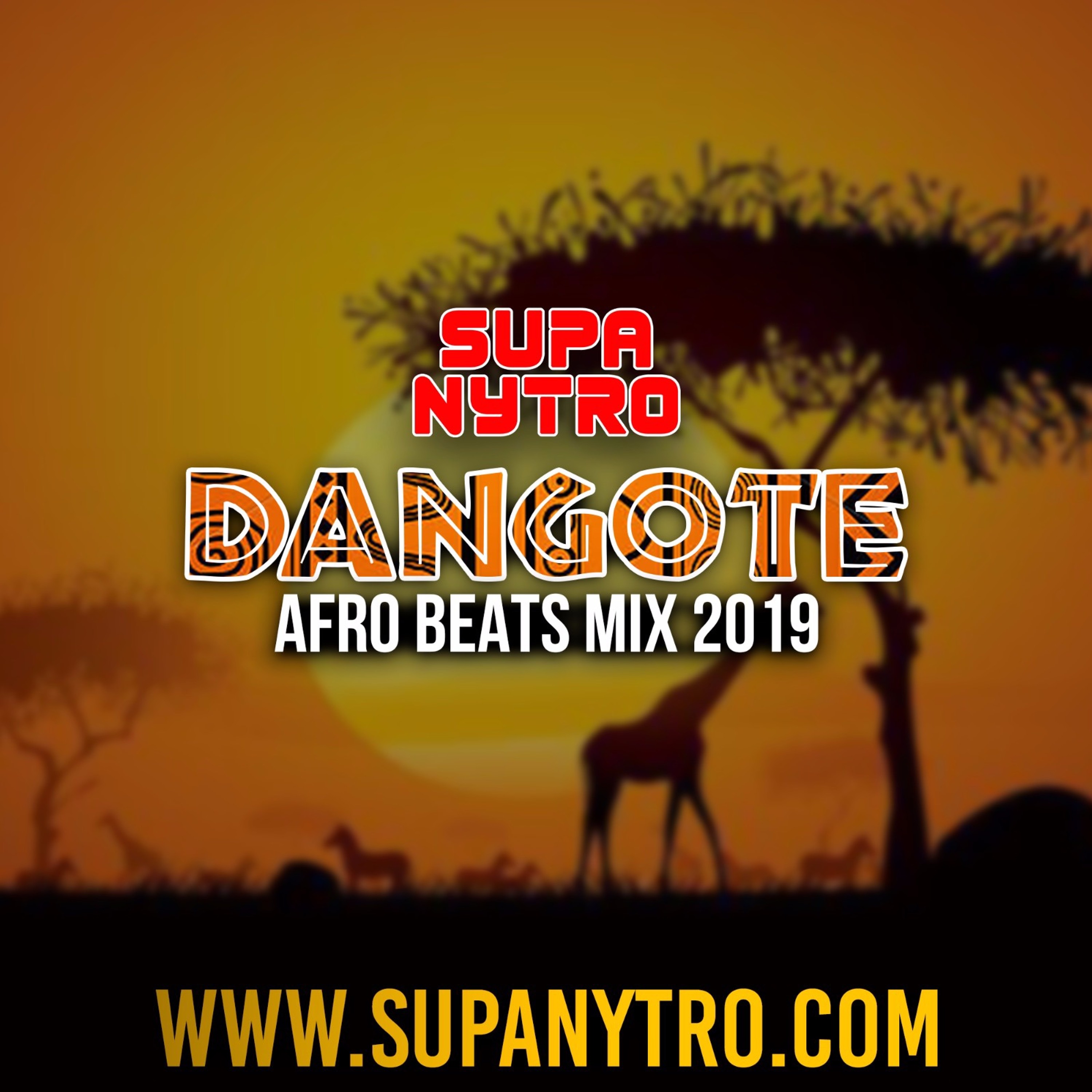 (DJ) Supa Nytro