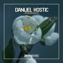 Danijel Kostic - Quasar