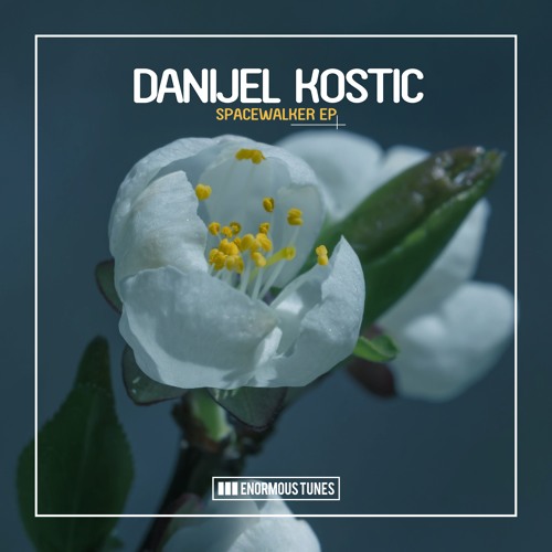 Danijel Kostic - Spacewalker